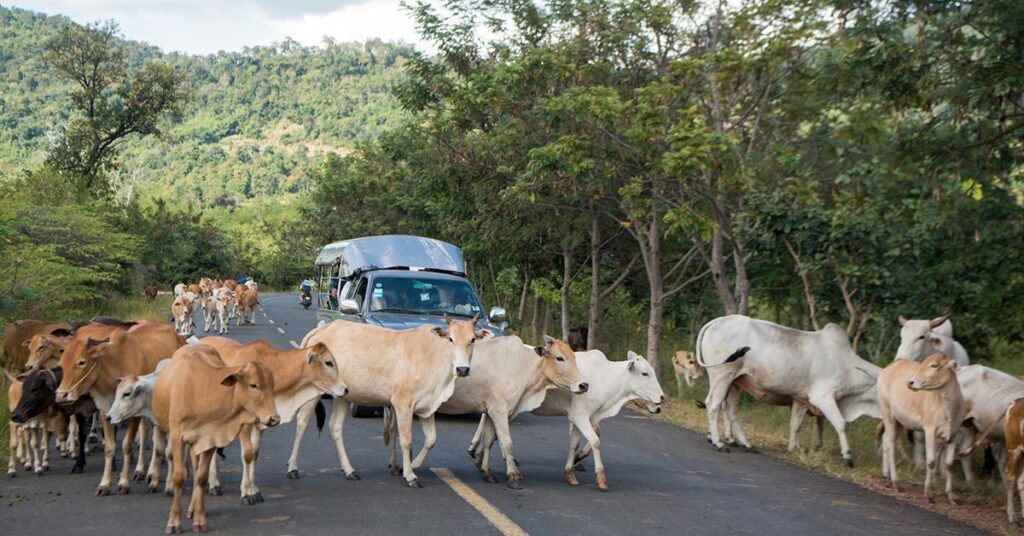 safe to travel to romania