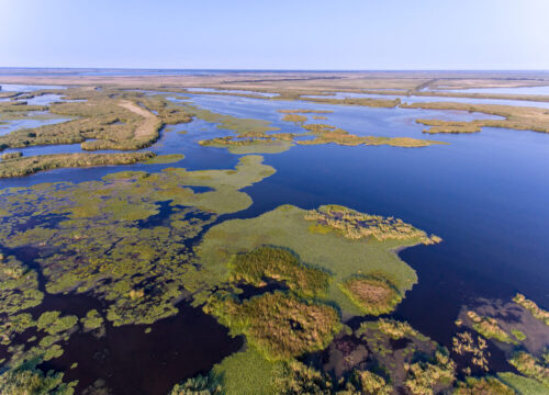 The Danube Delta Tour
