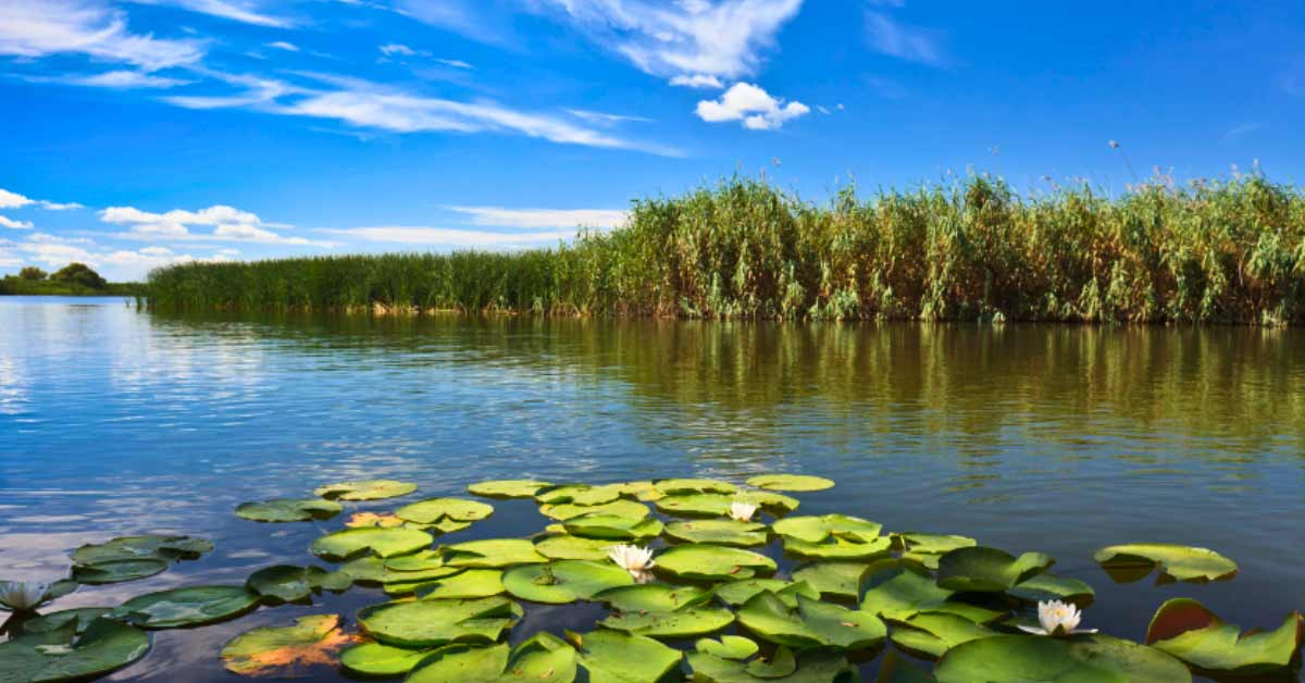 The Danube Delta Travel Guide: Europe’s Largest Delta