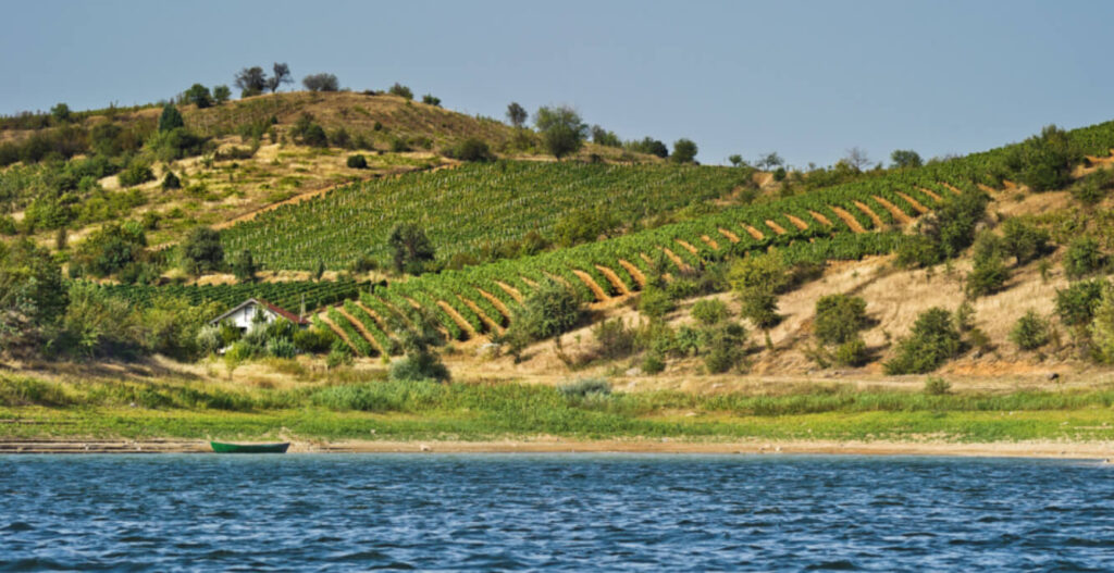 The Tikveš wine region