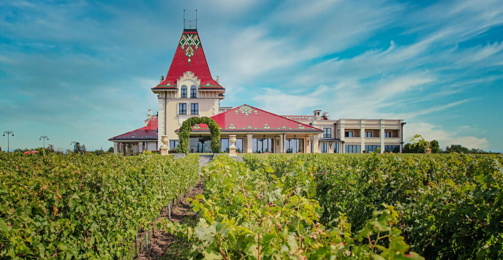Serbian vineyard in summer