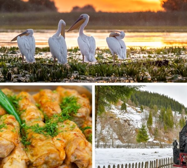 Pelicans in the Danube Delta at sunset, sarmale and Mocanita steam train in winter