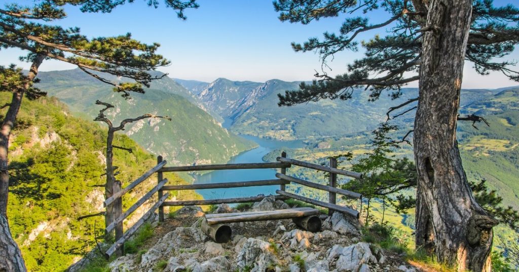 view from Banjska Stena platform - photo spot in Tara National Park - Serbia