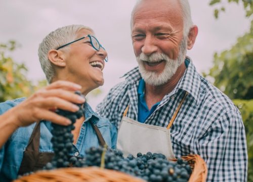 Experiential Travel: Going Beyond the Checklist